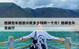 西藏包车旅游大概多少钱啊一个月？西藏包车自由行