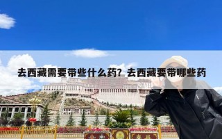 去西藏需要带些什么药？去西藏要带哪些药