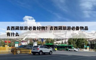 去西藏旅游必备好物？去西藏旅游必备物品 有什么