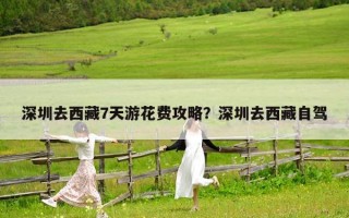 深圳去西藏7天游花费攻略？深圳去西藏自驾