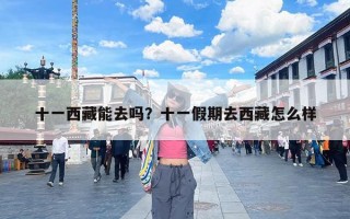 十一西藏能去吗？十一假期去西藏怎么样