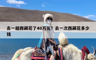 去一趟西藏花了40万元？去一次西藏花多少钱