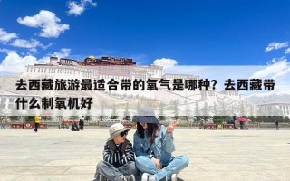 去西藏旅游最适合带的氧气是哪种？去西藏带什么制氧机好