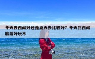 冬天去西藏好还是夏天去比较好？冬天到西藏旅游好玩不