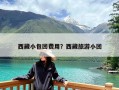 西藏小包团费用？西藏旅游小团