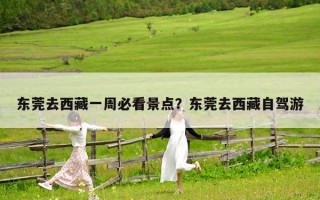 东莞去西藏一周必看景点？东莞去西藏自驾游