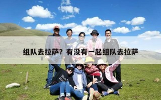 组队去拉萨？有没有一起组队去拉萨