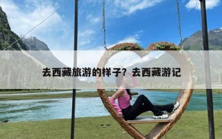 去西藏旅游的样子？去西藏游记