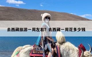 去西藏旅游一周左右？去西藏一周花多少钱