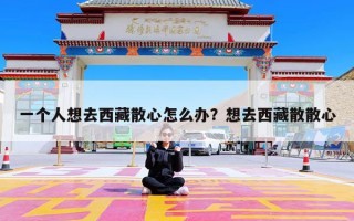 一个人想去西藏散心怎么办？想去西藏散散心