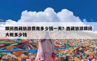 跟团西藏旅游费用多少钱一天？西藏旅游跟团大概多少钱