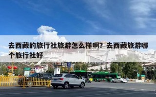 去西藏的旅行社旅游怎么样啊？去西藏旅游哪个旅行社好