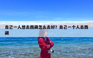 自己一人想去西藏怎么去好？自己一个人去西藏