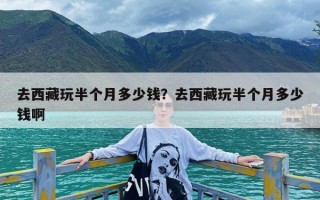 去西藏玩半个月多少钱？去西藏玩半个月多少钱啊