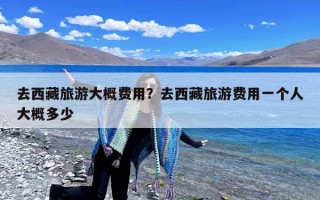 去西藏旅游大概费用？去西藏旅游费用一个人大概多少