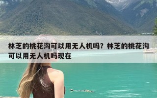 林芝的桃花沟可以用无人机吗？林芝的桃花沟可以用无人机吗现在