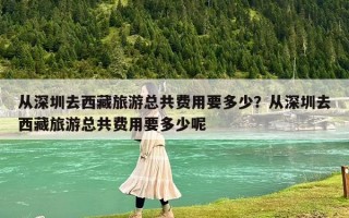 从深圳去西藏旅游总共费用要多少？从深圳去西藏旅游总共费用要多少呢