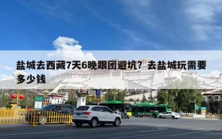 盐城去西藏7天6晚跟团避坑？去盐城玩需要多少钱