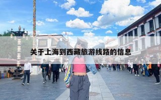 关于上海到西藏旅游线路的信息