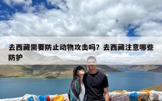 去西藏需要防止动物攻击吗？去西藏注意哪些防护