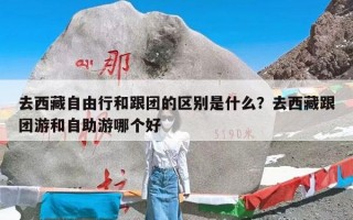 去西藏自由行和跟团的区别是什么？去西藏跟团游和自助游哪个好