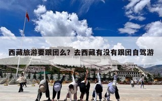 西藏旅游要跟团么？去西藏有没有跟团自驾游