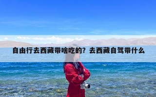 自由行去西藏带啥吃的？去西藏自驾带什么