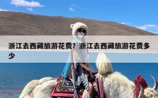浙江去西藏旅游花费？浙江去西藏旅游花费多少