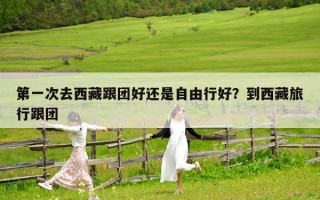 第一次去西藏跟团好还是自由行好？到西藏旅行跟团