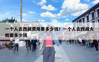 一个人去西藏费用要多少钱？一个人去西藏大概要多少钱