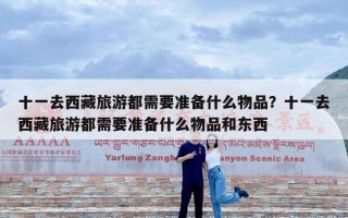 十一去西藏旅游都需要准备什么物品？十一去西藏旅游都需要准备什么物品和东西