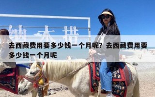 去西藏费用要多少钱一个月呢？去西藏费用要多少钱一个月呢