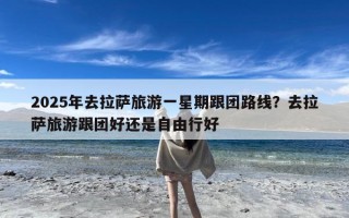 2025年去拉萨旅游一星期跟团路线？去拉萨旅游跟团好还是自由行好