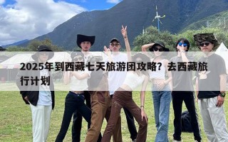 2025年到西藏七天旅游团攻略？去西藏旅行计划