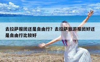 去拉萨报团还是自由行？去拉萨旅游报团好还是自由行比较好