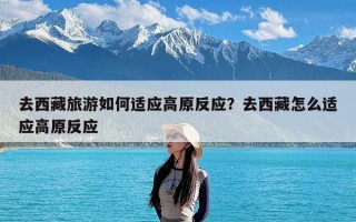 去西藏旅游如何适应高原反应？去西藏怎么适应高原反应