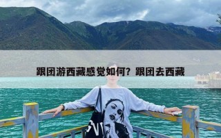 跟团游西藏感觉如何？跟团去西藏