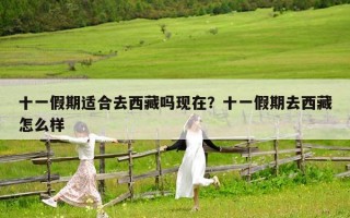 十一假期适合去西藏吗现在？十一假期去西藏怎么样