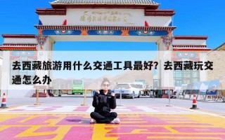 去西藏旅游用什么交通工具最好？去西藏玩交通怎么办