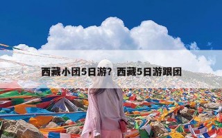 西藏小团5日游？西藏5日游跟团