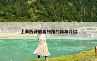 上海西藏旅游线路的简单介绍