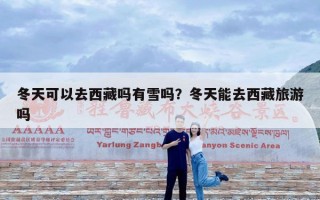 冬天可以去西藏吗有雪吗？冬天能去西藏旅游吗