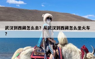 武汉到西藏怎么去？从武汉到西藏怎么坐火车?