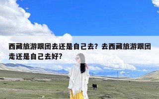 西藏旅游跟团去还是自己去？去西藏旅游跟团走还是自己去好?