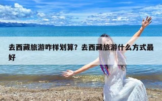 去西藏旅游咋样划算？去西藏旅游什么方式最好