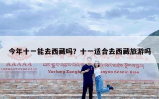 今年十一能去西藏吗？十一适合去西藏旅游吗