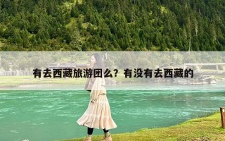 有去西藏旅游团么？有没有去西藏的