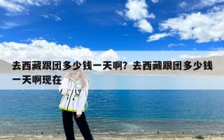 去西藏跟团多少钱一天啊？去西藏跟团多少钱一天啊现在