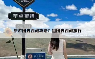 旅游团去西藏攻略？组团去西藏旅行