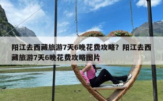 阳江去西藏旅游7天6晚花费攻略？阳江去西藏旅游7天6晚花费攻略图片